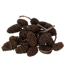 Artikel Erlenzapfen Naturbraun lose 300 g Holzdeko 3 cm