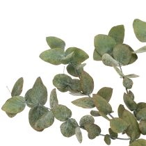 Artikel Eukalyptus Konservierte Deko-Zweige 75cm Dunkelgrün 150g für Innen- und Trockendeko