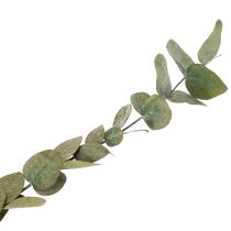 Artikel Eukalyptus Konservierte Deko-Zweige 75cm Dunkelgrün 150g für Innen- und Trockendeko