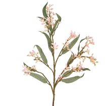 Artikel Eukalyptus Künstlich Zweig Blätter Knospen 75cm 2St