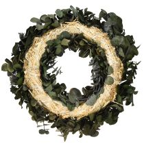 Artikel Eukalyptus Naturkranz Ø35cm aus konserviertem Eukalyptus für Innenbereich