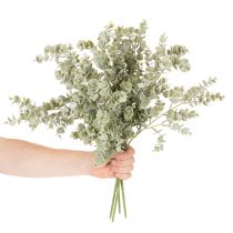 Artikel Künstlicher Eukalyptuszweig 49cm Grün 4er Set