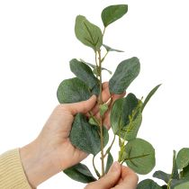 Artikel Eukalyptus Kunstblume für moderne Raumgestaltung 85cm 3St
