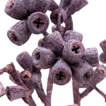 Artikel Eukalyptuszweige gefrostet Brombeer, 25 Stück, ca. 17–35 cm, Holz