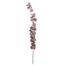 Artikel Eukalyptuszweige Rot 75cm – Konservierte Trockenblumen für Dekorationen