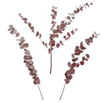 Artikel Eukalyptuszweige Rot 75cm – Konservierte Trockenblumen für Dekorationen