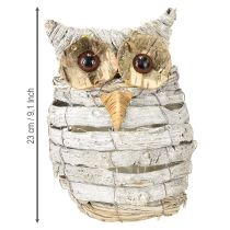 Artikel Eule aus Holz zum Bepflanzen Weiss 23 cm für Innen- und Aussendekoration