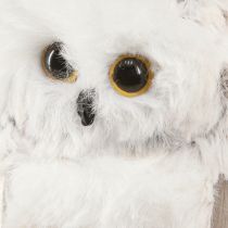 Artikel Eulen Deko Eulen Figuren zum Hängen Weiß Grau 6cm 4St