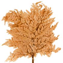 Artikel Farn Deko Orange Konserviert 45cm 10 St Home Dekoration DIY