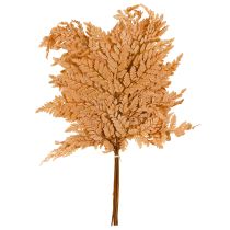 Artikel Konservierte Farnwedel Orange 45cm - Naturdekoration für DIY und Innenraum