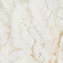 Artikel Farn Deko Echte Farnwedel Weiß Konserviert 45cm 10 St