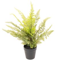 Artikel Künstliche Pflanze Farn im Topf 40 cm Grün für Innen