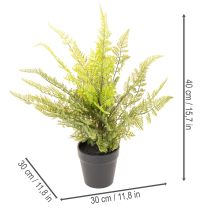 Artikel Künstliche Pflanze Farn im Topf 40 cm Grün für Innen