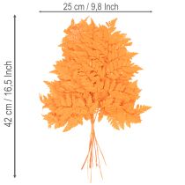 Artikel Farnzweige getrocknet konserviert Orange 42cm 10 Stück für Dekoration und Floristik