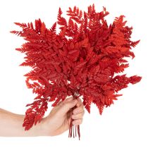 Artikel Konservierter Farnzweig in Herbstrot 42cm 10er-Set