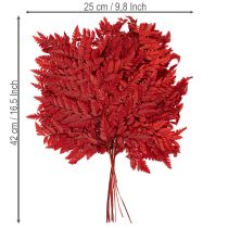 Artikel Konservierter Farnzweig in Herbstrot 42cm 10er-Set