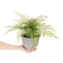 Artikel Künstlicher Farn im grauen Pflanztopf 35 cm Grün für Innenräume
