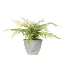 Artikel Künstlicher Farn im grauen Pflanztopf 35 cm Grün für Innenräume