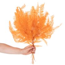 Artikel Konservierter Farnzweig Orange 60 cm Set mit 10 Stück
