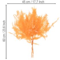 Artikel Konservierter Farnzweig Orange 60 cm Set mit 10 Stück