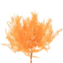 Artikel Konservierter Farnzweig Orange 60 cm Set mit 10 Stück