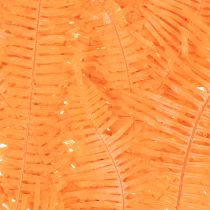 Artikel Konservierter Farnzweig Orange 60 cm Set mit 10 Stück