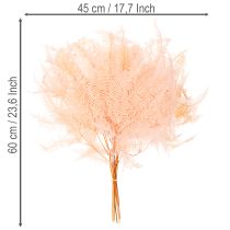 Artikel Getrocknete Farnwedel 60cm Rosa 10er-Set für Dekoration
