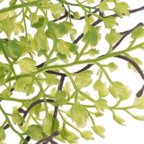 Artikel Künstlicher Ruscus Zweig Grün 41 cm Kunststoff für Floristik und Wohndekoration