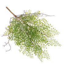 Artikel Künstlicher Ruscus Zweig Grün 41 cm Kunststoff für Floristik und Wohndekoration