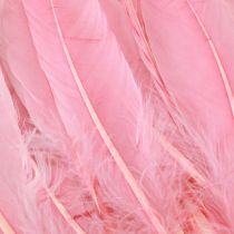 Artikel Rosa Gänsefedern 18–20 cm, 20 g, Naturfedern für Bastelarbeiten und Dekoration