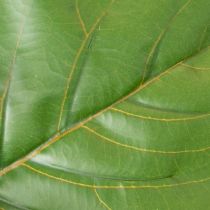 Artikel Künstliche Ficus lyrata 120 cm aus Kunststoff und Textil, grün