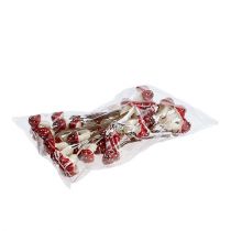 Artikel Fliegenpilz am Draht 12Bd.