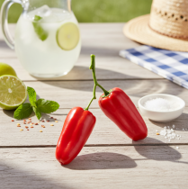 Artikel Künstliche Peperoni Rot Gemüse Deko Ø3,5cm L8cm 2 St