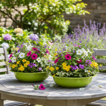 Artikel Pflanzschale für attraktive Pflanzendekoration im Wohnzimmer 29cm 2St