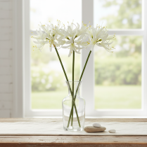 Artikel Nerine Guernseylilie Kunstblume Weiss Gelb Ø15cm L65cm