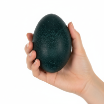 Artikel Dekoratives Emu-Ei aus Naturmaterial, 13 cm Höhe, 9 cm Durchmesser, tiefgrün, für Oster- und Wohnraumdekoration