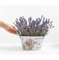 Artikel Blumenschale oval Metall mit Griffen Lavendel-Motiv 26×13×14,5cm