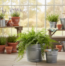 Artikel Übertopf Pflanzgefäß Vintage Deko Metalleimer Ø22cm H20cm