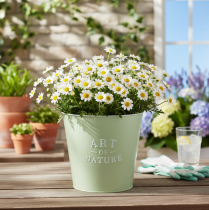 Artikel Blumentopf Metall Übertopf Mintgrün Ø22cm H21cm für Innen- und Aussendekoration