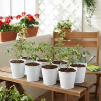 Artikel Metalleimer weiss Ø12cm H10cm mit Holzgriff im 8er-Set für Innen- und Aussenbereich