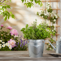 Artikel Deko Eimer Blumentopf Metall Ø20cm mit Seilgriffen Silber