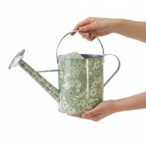 Artikel Metall-Giesskanne Vintage-Look Grün Silber mit Blumenmuster, Ø18cm