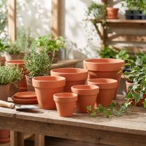 Artikel Blumentöpfe aus Ton in Terrakotta, 10 Stück, Ø ca. 3,5 - 9 cm