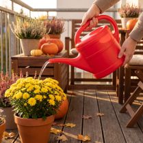 Artikel Gieskanne Kunststoff 5 Liter mit abnehmbarer Brause für Balkon und Garten