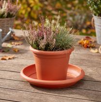 Artikel Untersetzer Kunststoff Terrakotta Ø30cm für Pflanzgefässe