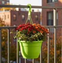 Artikel Hängeblumentopf Kunststoff Ø25cm Grün für Aussenbereiche