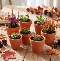 Artikel Blumentopf aus Terrakotta Ø 5 cm, Höhe 4 cm, 10 Stück