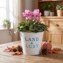 Artikel Metall Übertopf Weiss Blau Ø14×H13cm Land & Lust Retro Design