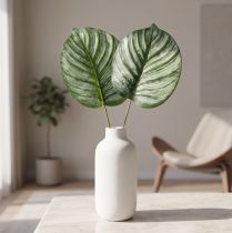 Artikel Calathea künstlich Korbmarante Kunstpflanze Grün 51 cm
