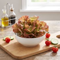 Artikel Künstlicher Salatkopf aus Kunststoff Lollo Rosso Ø20cm für Dekoration
